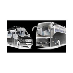 Pellegrino Noleggio Bus