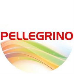 PELLEGRINO Finestre Porte Zanzariere Tende Grate Pergolati S.r.l. Ravenna