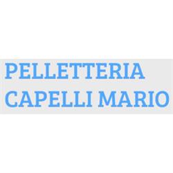 Pelletteria Capelli Mario