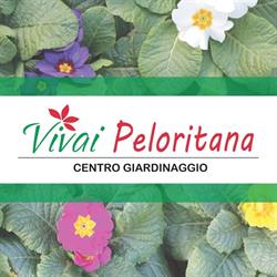 Peloritana SRL