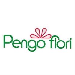 Pengo Fiori SRL