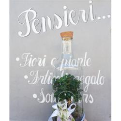 Fiori e Piante Pensieri...