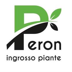 Peron Luigi (Srl)