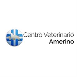 Ambulatorio Medico Veterinario Dr. Persichetti Piero