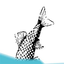 Pescheria Azzurra Da Mimmo E Matteo
