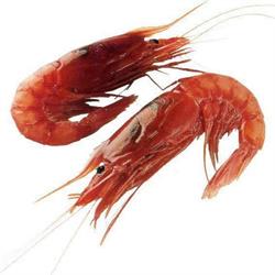 Pescheria Delmonte