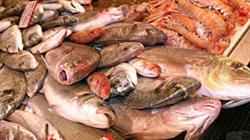 Pescheria Da Zingone