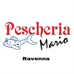 Pescheria Mario Di Buzzi Aurelio e C.(S.n.c.)