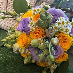 Petali  Piante e Fiori