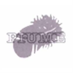 Pi-Ume