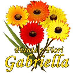 Piante e fiori Gabriella - Fiorista - Consegna fiori Modena