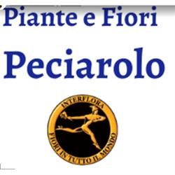 Fiorista Peciarolo