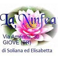 Piante E Fiori La Ninfea Di Cappuccino Soliana