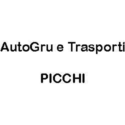 Autogru e Trasporti Picchi