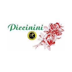Fiorista Piccinini