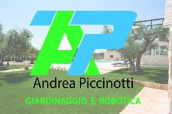 Piccinotti Andrea