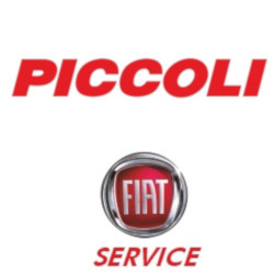 Piccoli  Autofficina