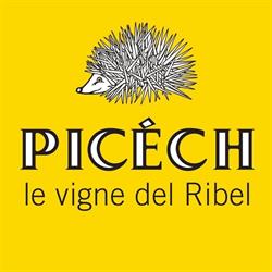 Picech Roberto