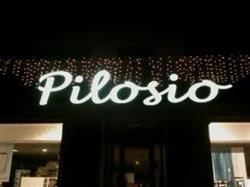 Pilosio Di Pilosio Ester E Olivo S.n.c.