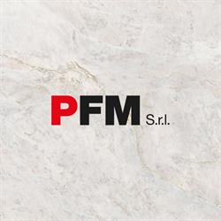PFM SRL