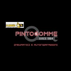 PINTO GOMME S.A.S. - Driver Center Pirelli TORINO