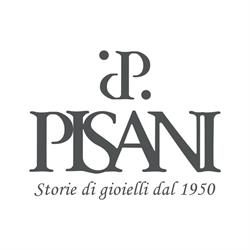Pisani (Srl)