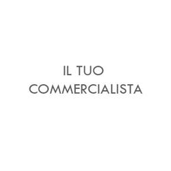 Il Tuo Commercialista Srl-Stp Unico Socio