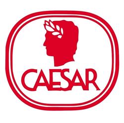 Caesar