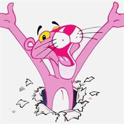 La Pantera Rosa Pizzeria Ristorante