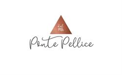 Ponte Pellice