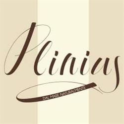 Plinius Di Papa Luciano & C. SAS