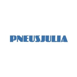PNEUSJULIA SRL - Driver Center Pirelli MANZANO