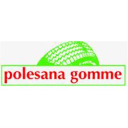 Polesana Gomme