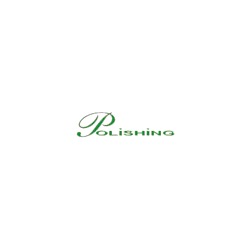 Polishing Srl