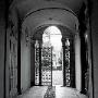 Studio Legale Polizzi And Partners -