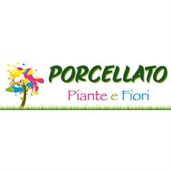 Porcellato Piante e Fiori di Porcellato Piergiorgio & C.