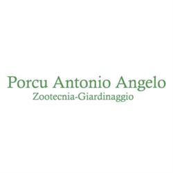Porcu Antonio Angelo