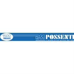 Possenti Maurizio Srl