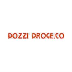 Pozzi proge.co