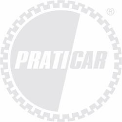 Praticar (S.n.c.)