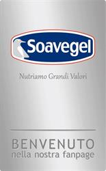 Soavegel SRL