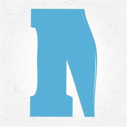Manzoni A.N.A.C.