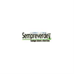 Sempreverde