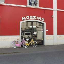 MAZZINO di GRACCI CARLA sas