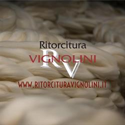 Ritorcitura Vignolini SNC