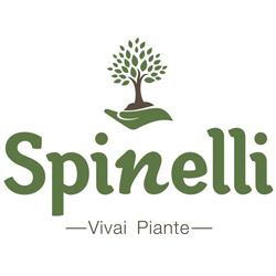 Spinelli Vivai Piante