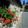 Particolare