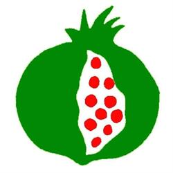 A.u.l.l. Associazione Umbra Studio e Terapia Leucemie e Linfomi
