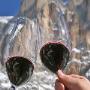 Calici di Vino
