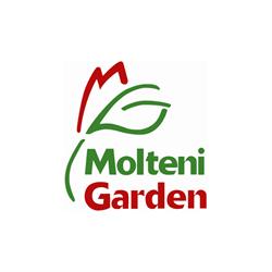 Molteni